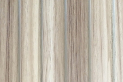 STEP ASAM TEAK